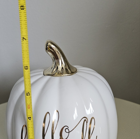 Hello fall pumpkin - Picture 2 of 3